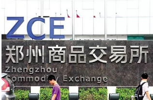 投資者必知 全國性交易所僅8家，警惕上海信息咨詢服務類陷阱