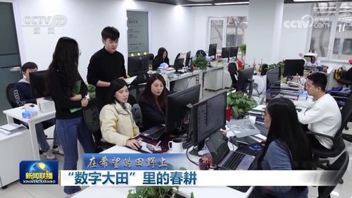 數字大田里的春耕 上海信息咨詢服務引領農業現代化新篇章