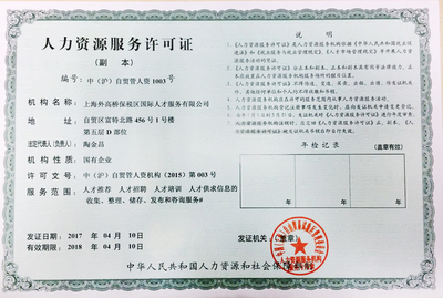 上海信息咨詢服務 專業導航，智啟未來